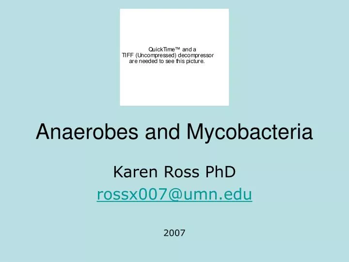 anaerobes and mycobacteria