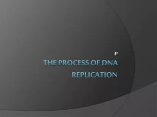 The Process of DNA Replication