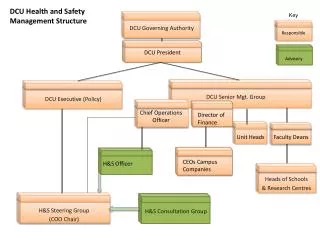 DCU Health and Safety Management Structure