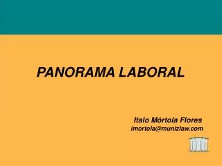 PANORAMA LABORAL