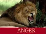ANGER - slide 1