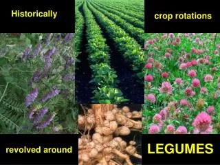 crop rotations