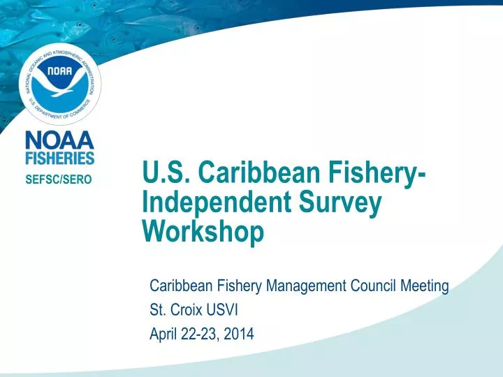 u s caribbean fishery independent survey workshop