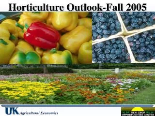 Horticulture Outlook-Fall 2005