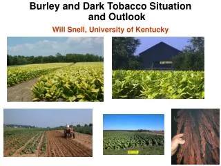 Burley and Dark Tobacco Situation and Outlook Will Snell, University of Kentucky