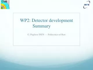 WP2: Detector development Summary