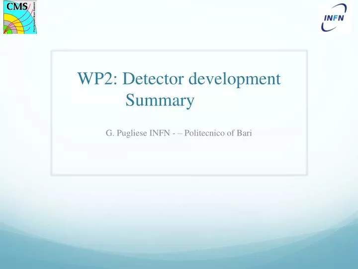 wp2 detector development summary