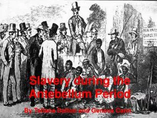 Slavery during the Antebellum Period