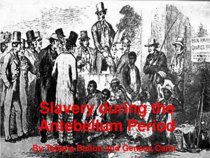 slavery during the antebellum period