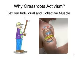 Why Grassroots Activism?