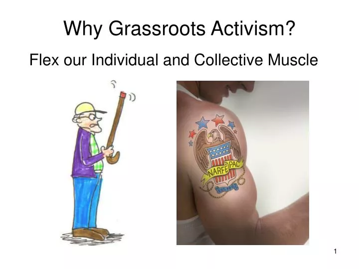 why grassroots activism