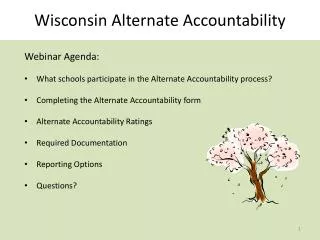 Wisconsin Alternate Accountability
