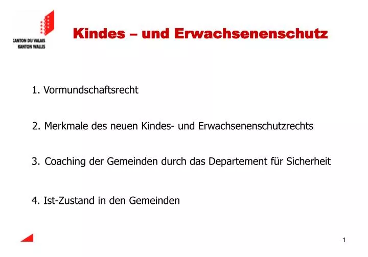 kindes und erwachsenenschutz