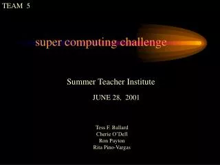 Summer Teacher Institute