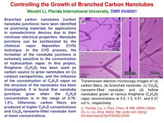 Controlling the Growth of Branched Carbon Nanotubes