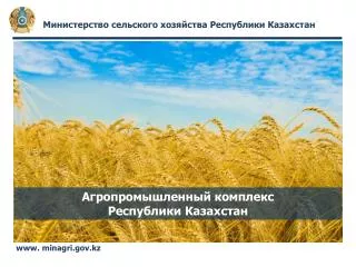 Агропромышленный комплекс Республики Казахстан
