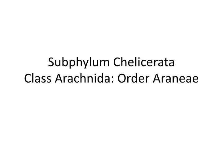 subphylum chelicerata class arachnida order araneae