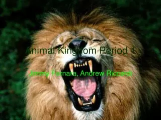 Animal Kingdom Period 1