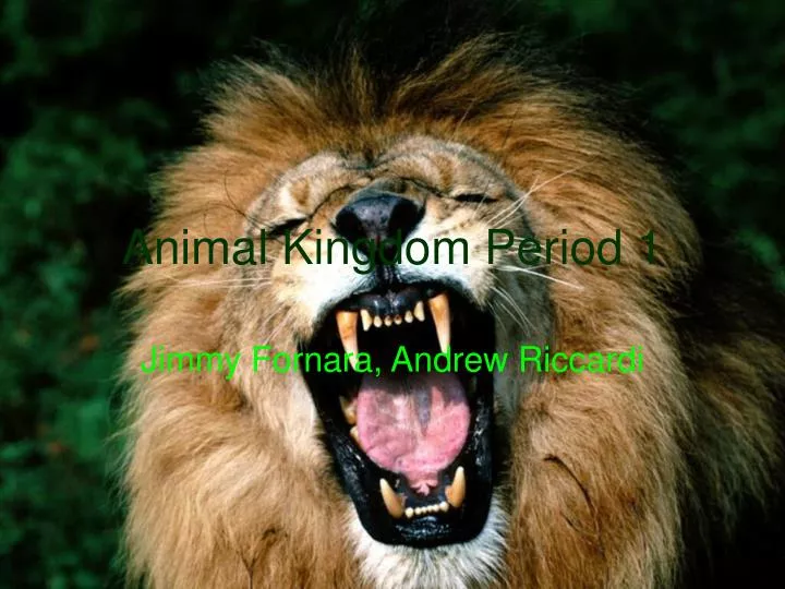 animal kingdom period 1