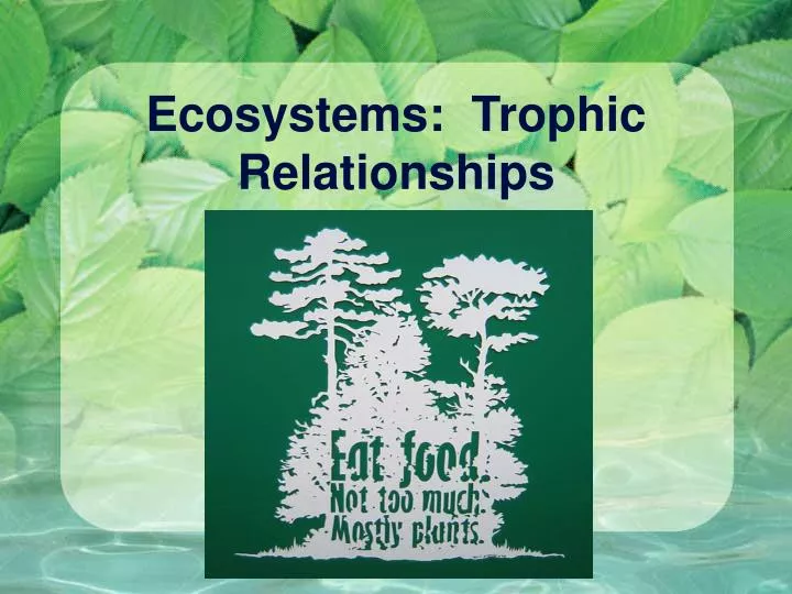 ecosystems trophic relationships
