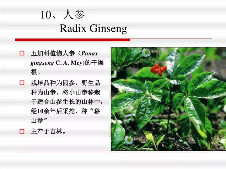 10 radix ginseng