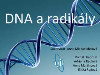 DNA a radikály