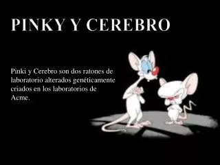 PINKY Y CEREBRO