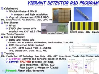 Vibrant Detector r&amp;D Program