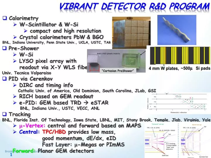 vibrant detector r d program
