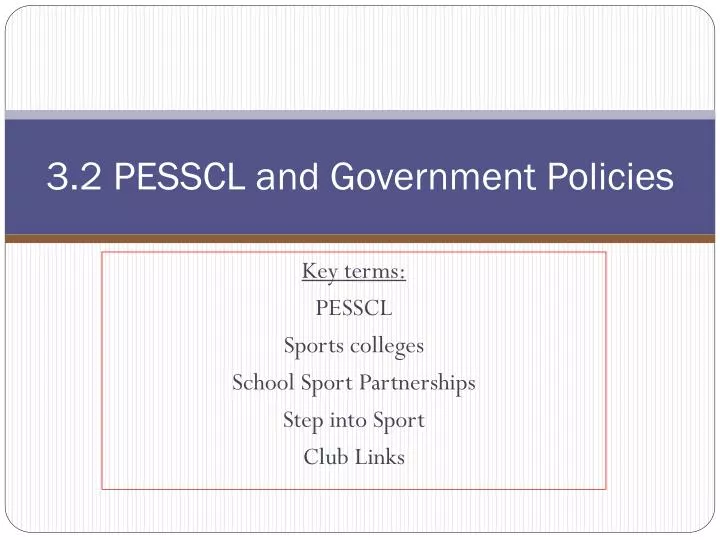 3 2 pesscl and government policies