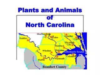 Plants and Animals of North Carolina