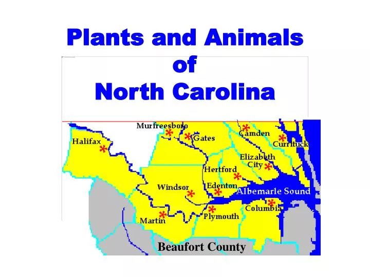 plants and animals of north carolina