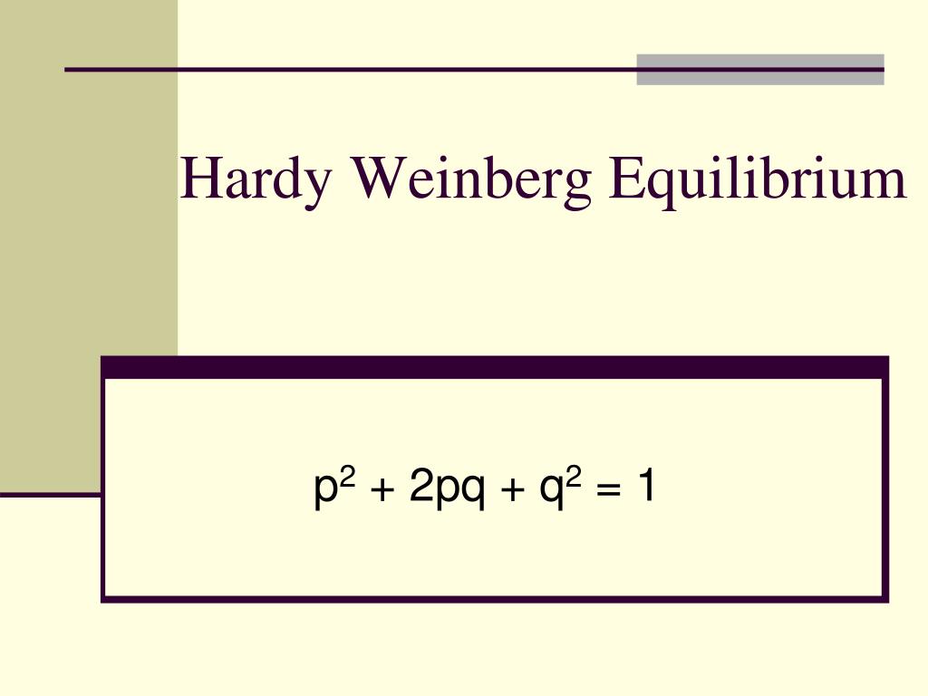 PPT - Hardy Weinberg Equilibrium PowerPoint Presentation, free download ...