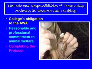 The Role and Responsibilities of Those Using Animals in Research and Teaching