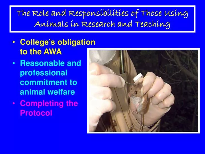 the role and responsibilities of those using animals in research and teaching