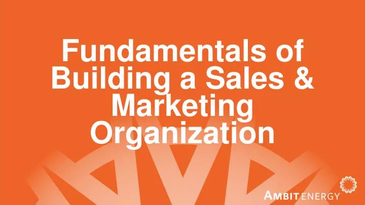 fundamentals of building a sales marketing organization