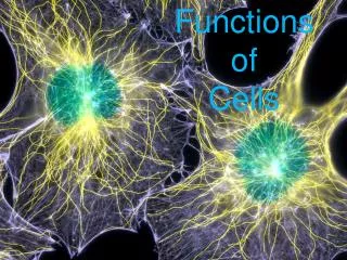 Functions of Cells