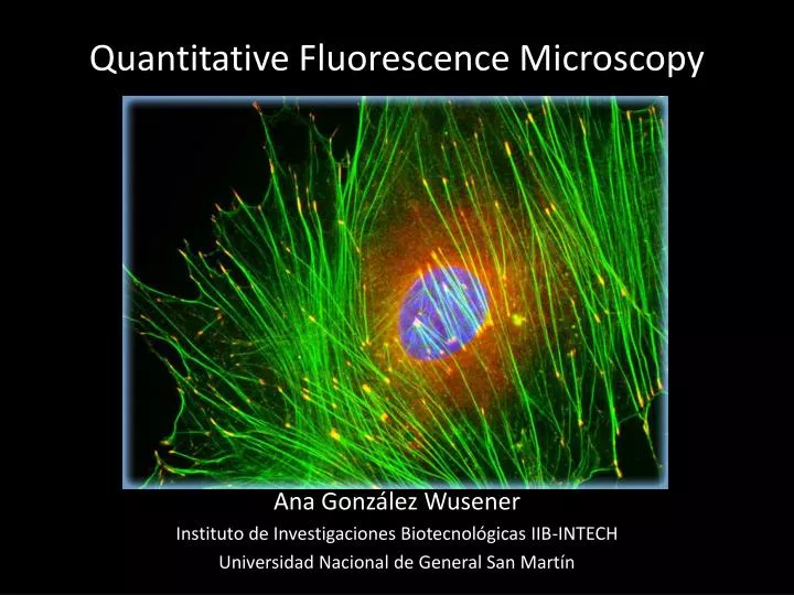 quantitative fluorescence microscopy