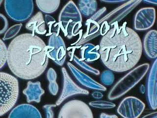 KINGDOM PROTISTA