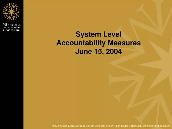 system level accountability measures june 15 2004