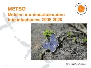 METSO Metsien monimuotoisuuden toimintaohjelma 2008-2020