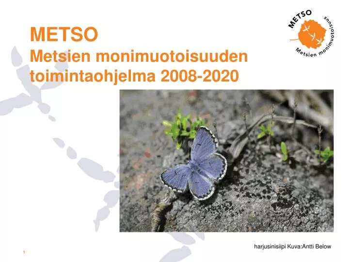 metso metsien monimuotoisuuden toimintaohjelma 2008 2020