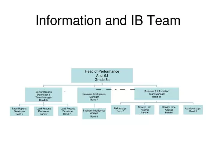 information and ib team