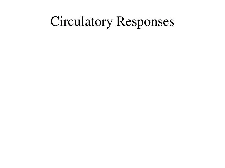 circulatory responses
