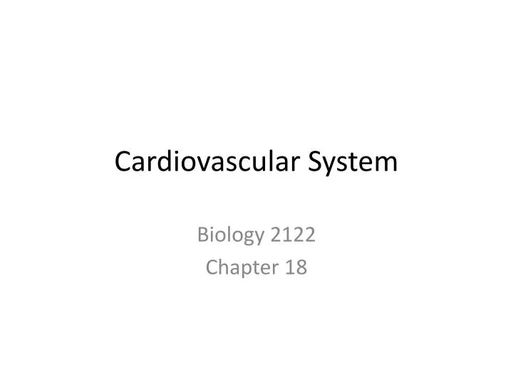 cardiovascular system