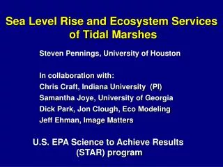 Sea Level Rise and Ecosystem Services of Tidal Marshes