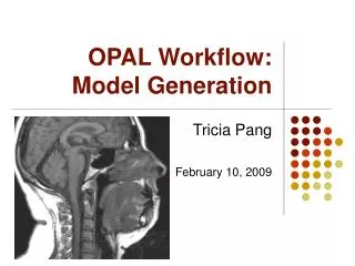 OPAL Workflow: Model Generation
