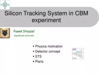 Silicon Tracking System in CBM experiment