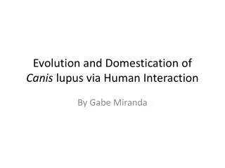 Evolution and Domestication of Canis lupus via Human Interaction