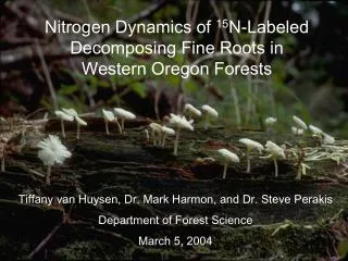 Nitrogen Dynamics of 15 N-Labeled Decomposing Fine Roots in Western Oregon Forests